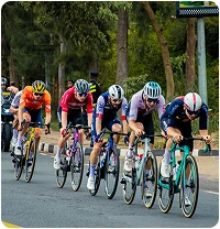 Eight cyclists dressed in colorful jerseys are racing at high speed along a tree-lined road, focused and intense. A motorcycle follows them to capture the event.